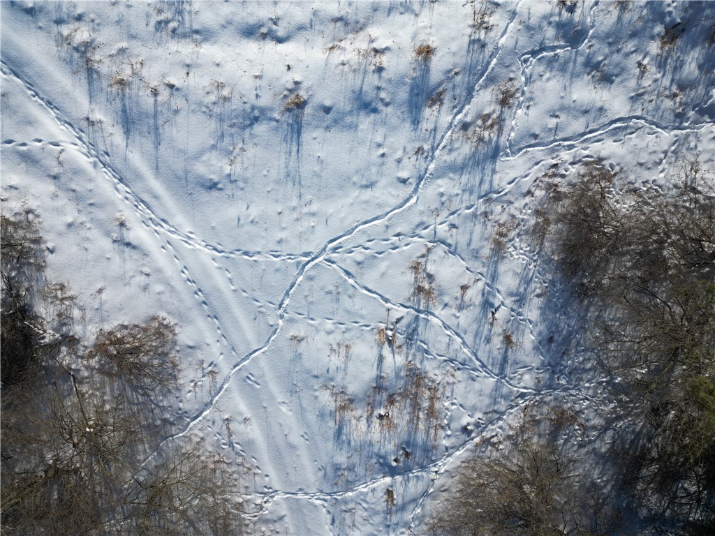 60 County Route Rexville, NY 14877 - Photo 35 of 42