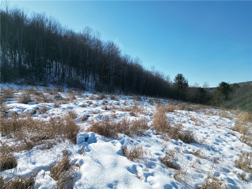 60 County Route Rexville, NY 14877 - Photo 36 of 42