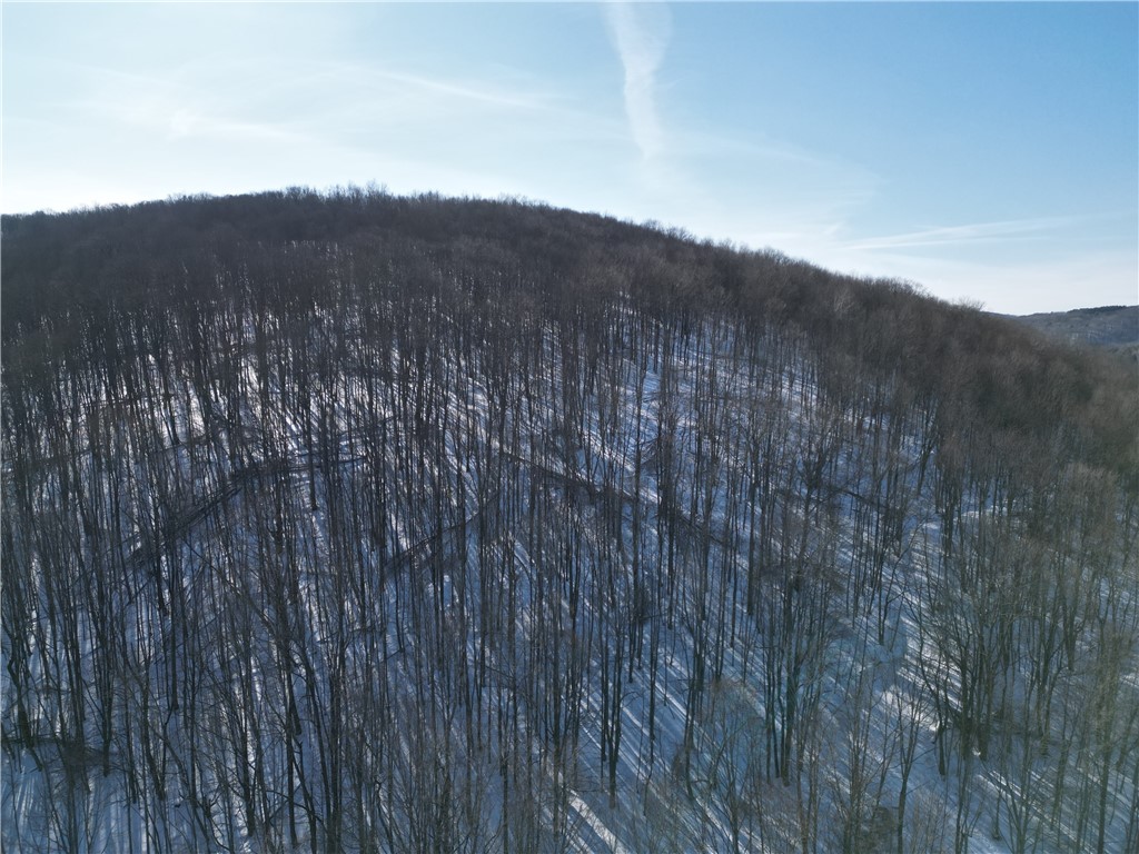 60 County Route Rexville, NY 14877 - Photo 37 of 42