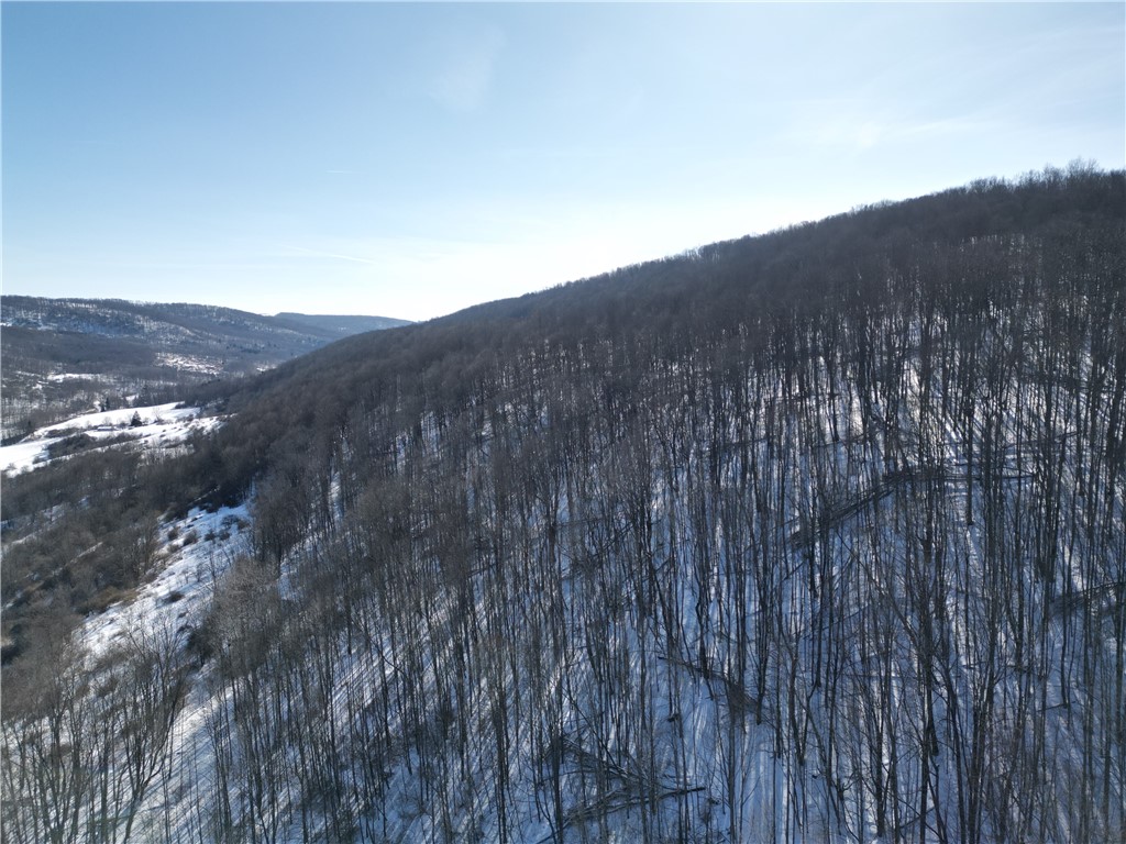 60 County Route Rexville, NY 14877 - Photo 38 of 42