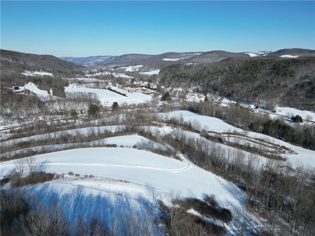 60 County Route Rexville, NY 14877 - Photo 39 of 42