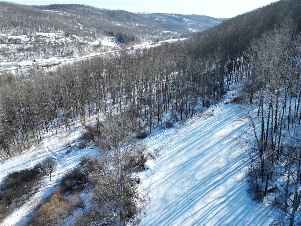 60 County Route Rexville, NY 14877 - Photo 40 of 42