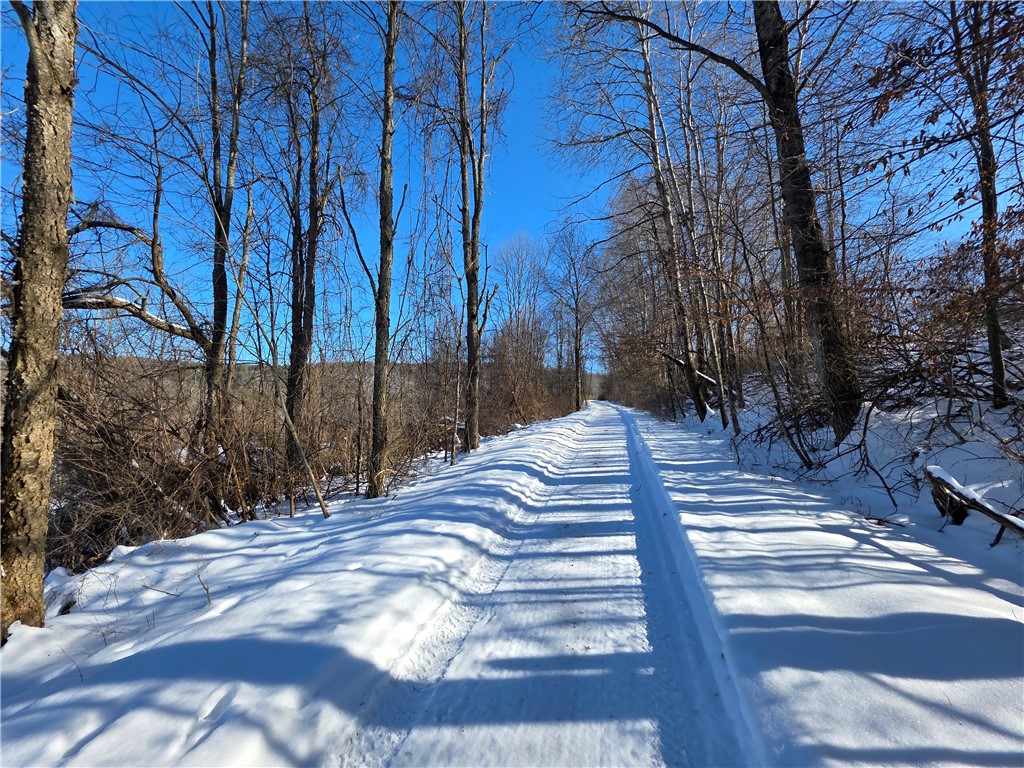 60 County Route Rexville, NY 14877 - Photo 4 of 42