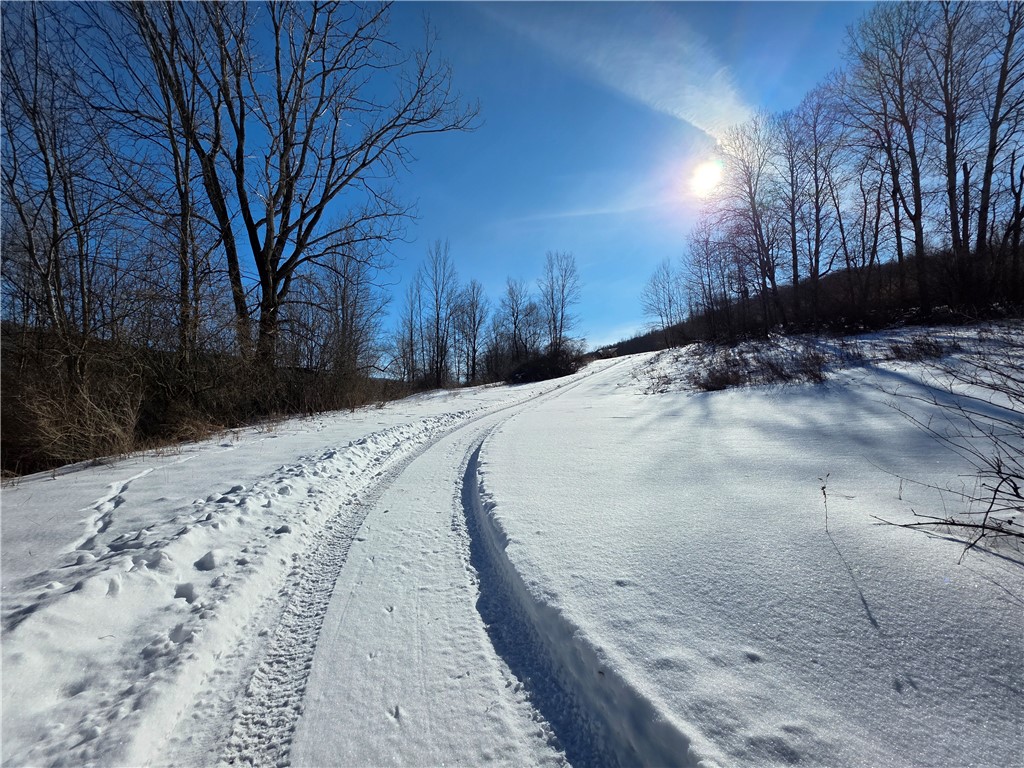60 County Route Rexville, NY 14877 - Photo 5 of 42