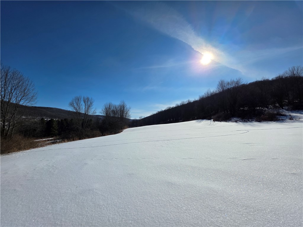 60 County Route Rexville, NY 14877 - Photo 6 of 42