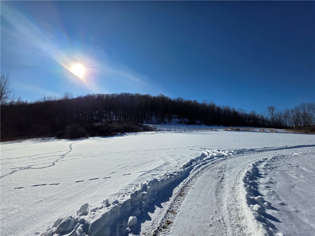 60 County Route Rexville, NY 14877 - Photo 8 of 42