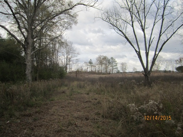 0 Stowers Road Forest, MS 39074 - Photo 1 of 8 Photo 1