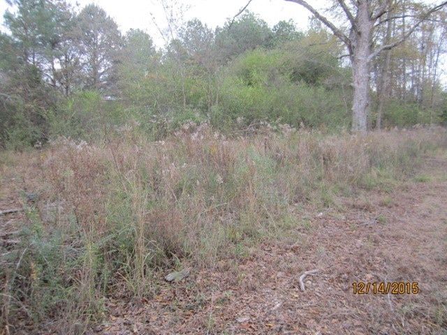 0 Stowers Road Forest, MS 39074 - Photo 3 of 8 Photo 3