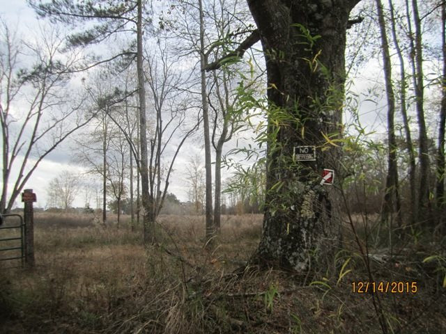 0 Stowers Road Forest, MS 39074 - Photo 4 of 8 Photo 4