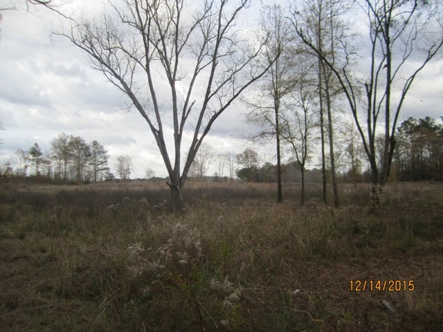 0 Stowers Road Forest, MS 39074 - Photo 5 of 8 Photo 5