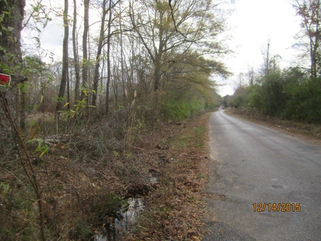 0 Stowers Road Forest, MS 39074 - Photo 7 of 8 Photo 7
