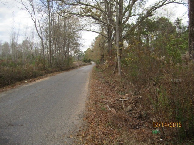 0 Stowers Road Forest, MS 39074 - Photo 8 of 8 Photo 8