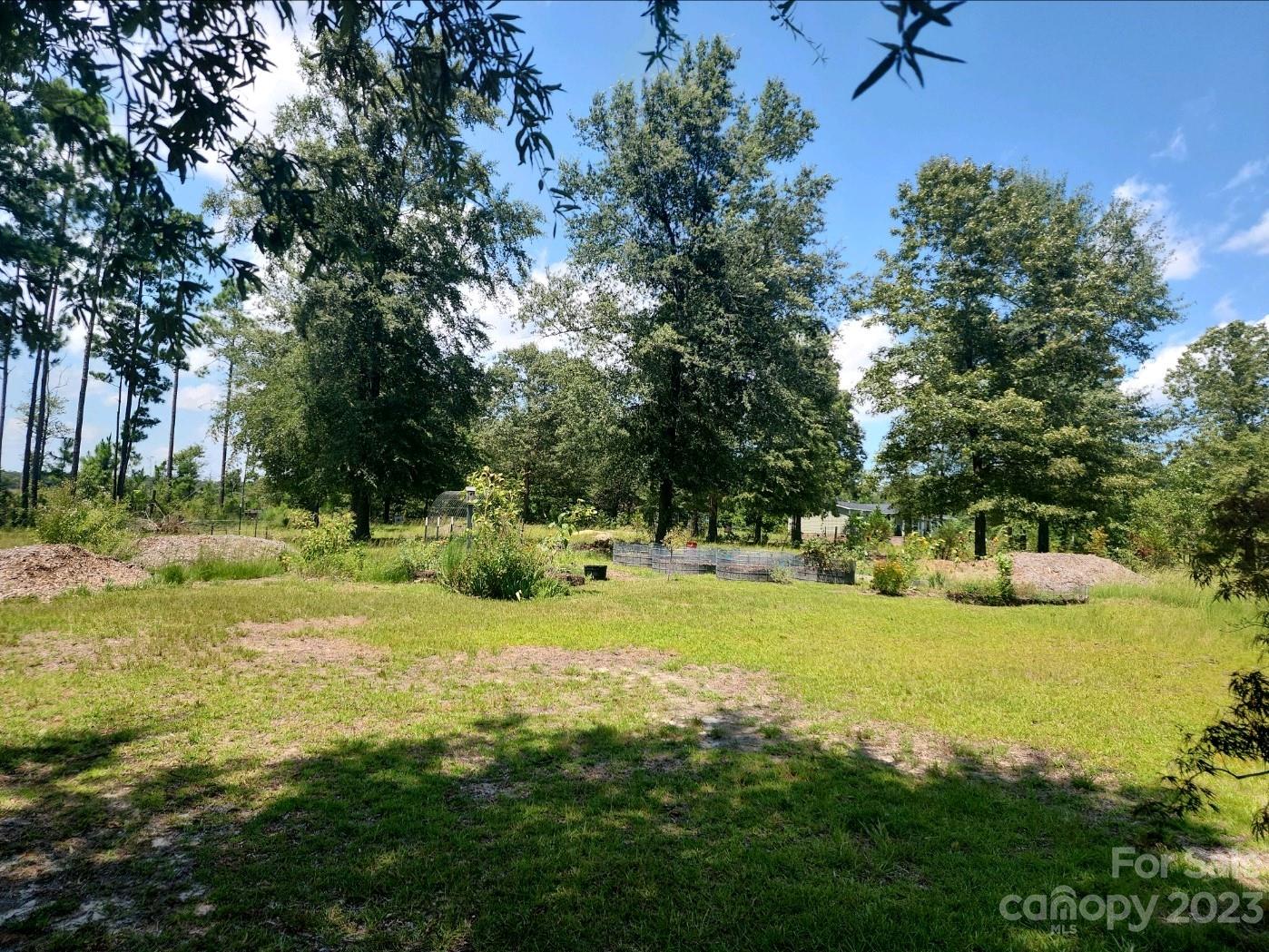 626 Union School Road McBee, SC 29101 - Photo 7 of 19 a view of a garden with an outdoor space