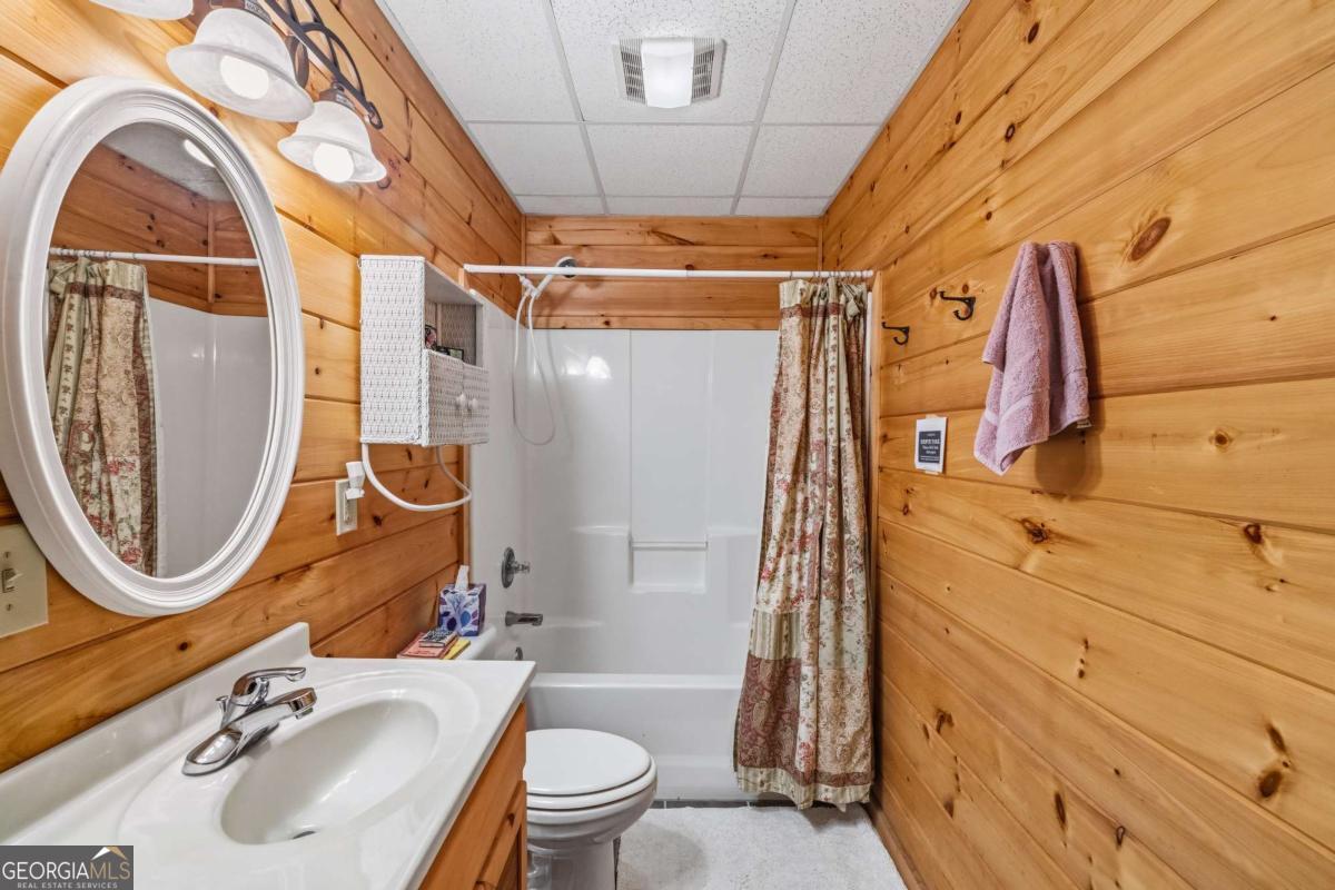 254 Aries Lane Blue Ridge, GA 30513 - Photo 35 of 43