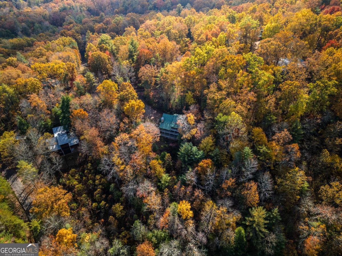 254 Aries Lane Blue Ridge, GA 30513 - Photo 41 of 43