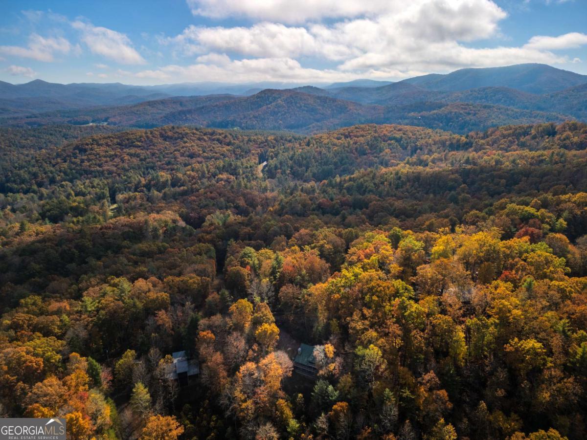 254 Aries Lane Blue Ridge, GA 30513 - Photo 42 of 43