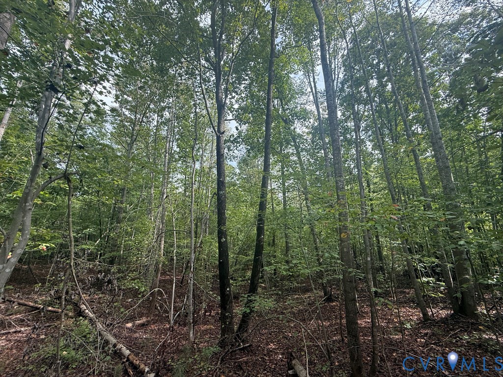 13.52 West Point Stevens Road Drakes Branch, VA 23937 - Photo 6 of 9 Gallery Image 6