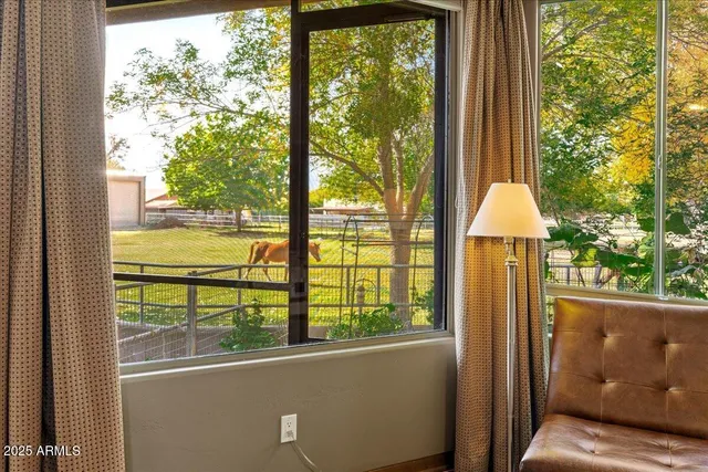 a view of a yard with large trees