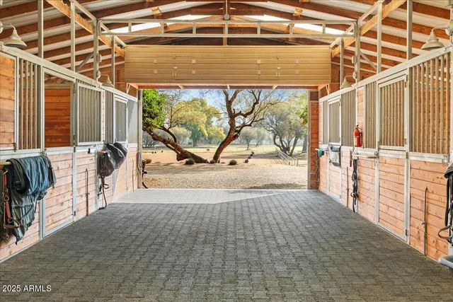 a view of a lake in middle of forest