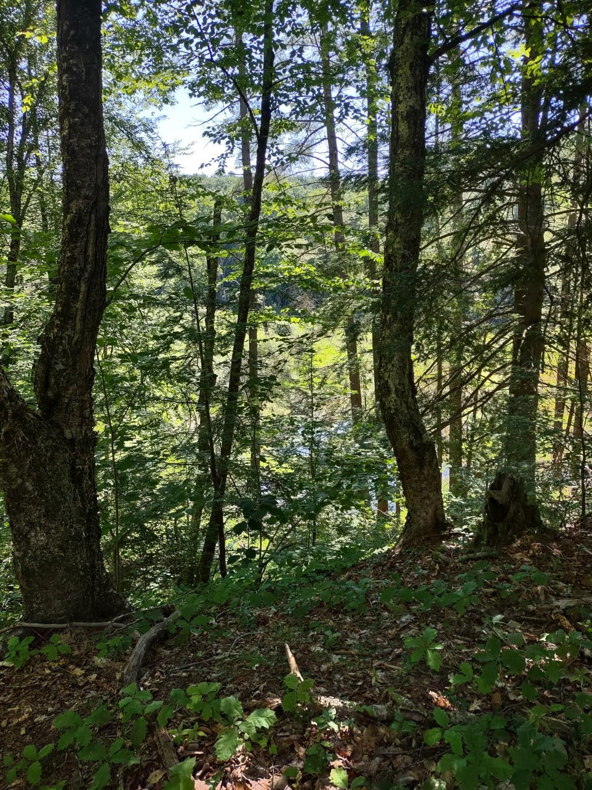 55 Mine Road, Unit 171 Winchester, NH 03470 - Photo 2 of 5 Gallery Image 2