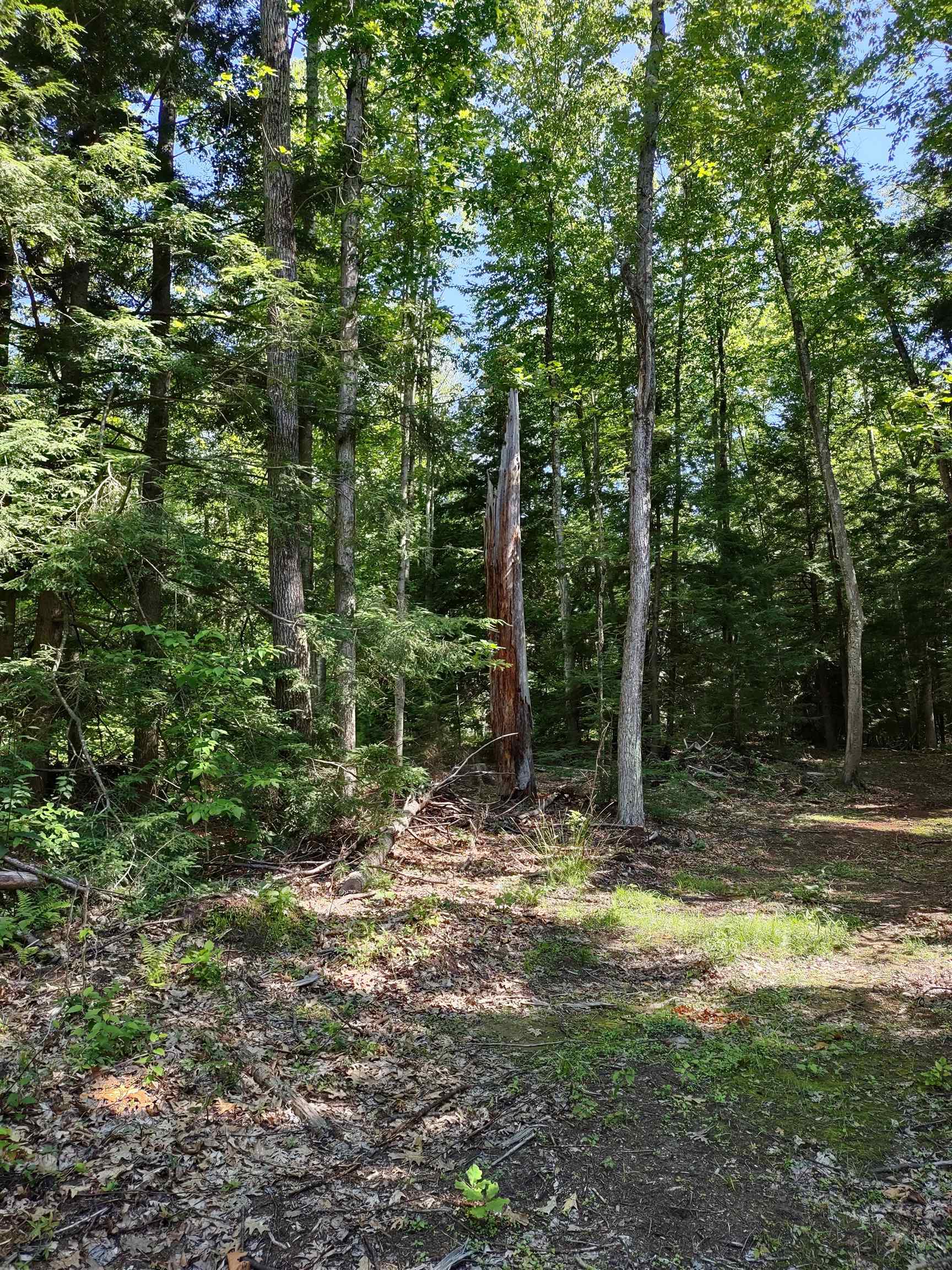 55 Mine Road, Unit 171 Winchester, NH 03470 - Photo 3 of 5 Gallery Image 3