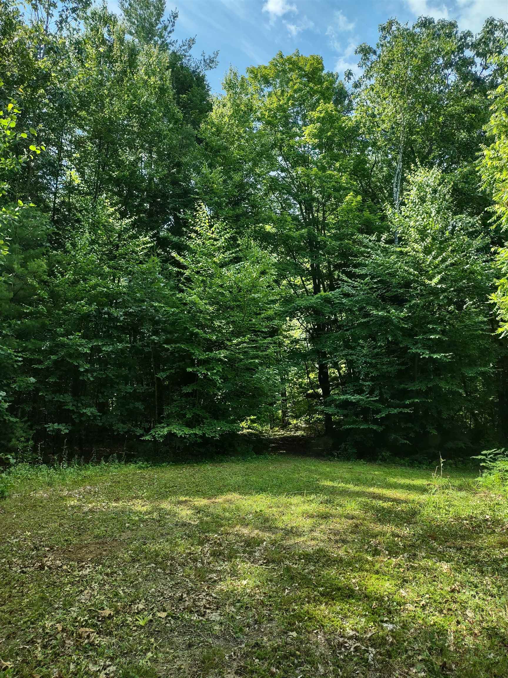 55 Mine Road, Unit 171 Winchester, NH 03470 - Photo 4 of 5 Gallery Image 4