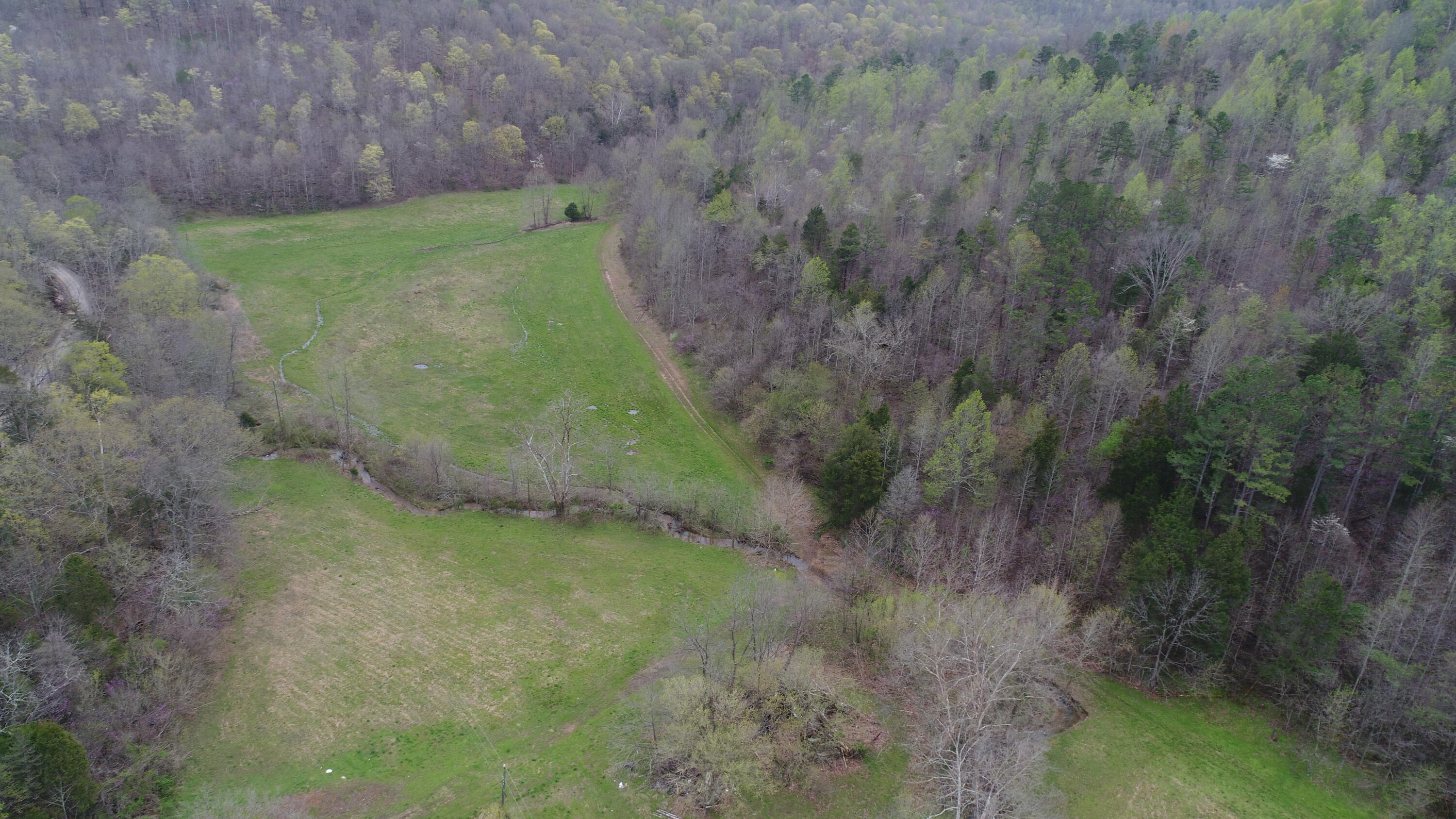 2499 Piney Grove Road Somerset, KY 42501 - Photo 6 of 34 DJI_0870