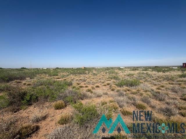 48 State Road 203 Fort Sumner, NM 88119 - Photo 8 of 17 Gallery Image 8