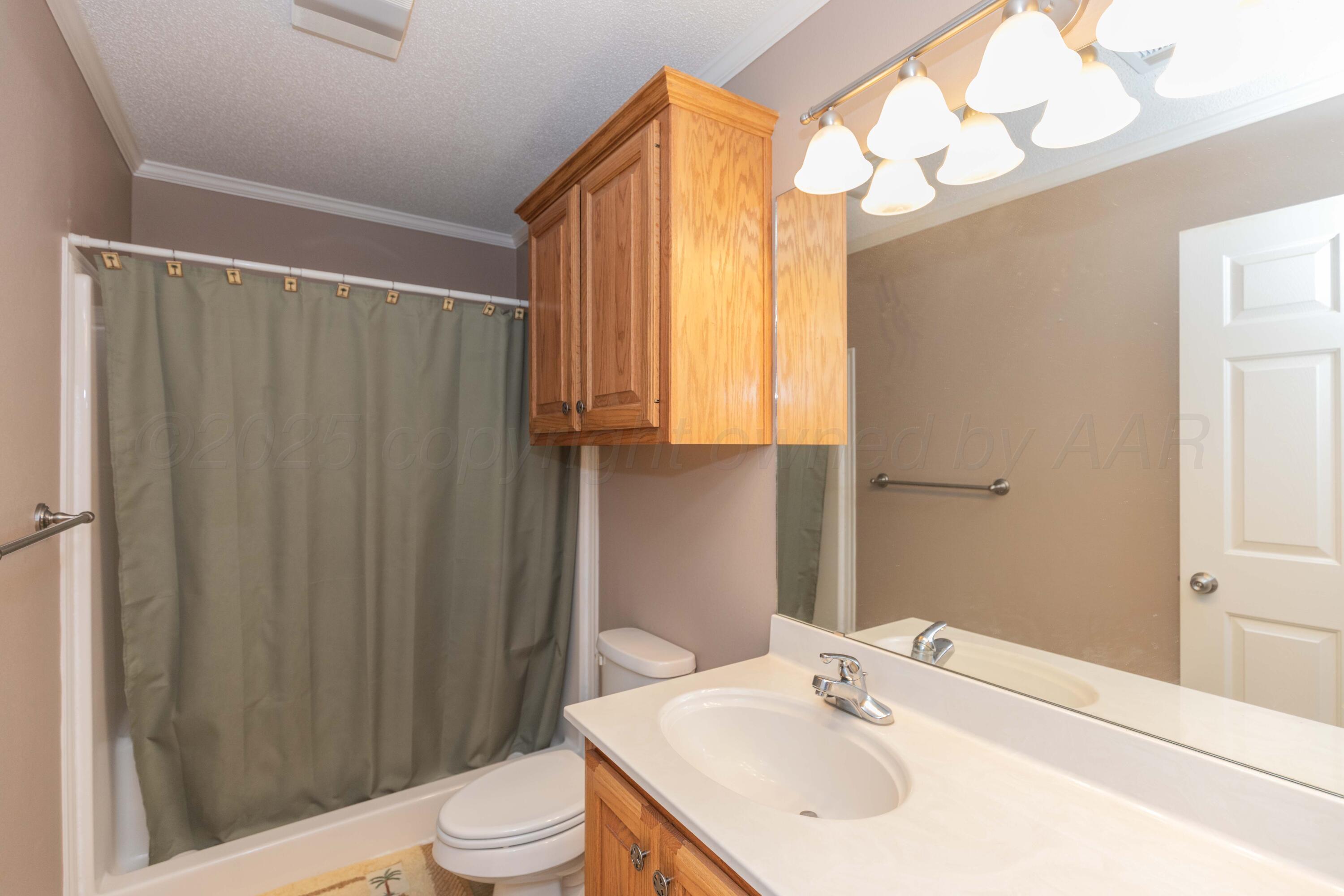 109 Texas Avenue Groom, TX 79039 - Photo 16 of 21 a bathroom with a sink a toilet and shower curtain