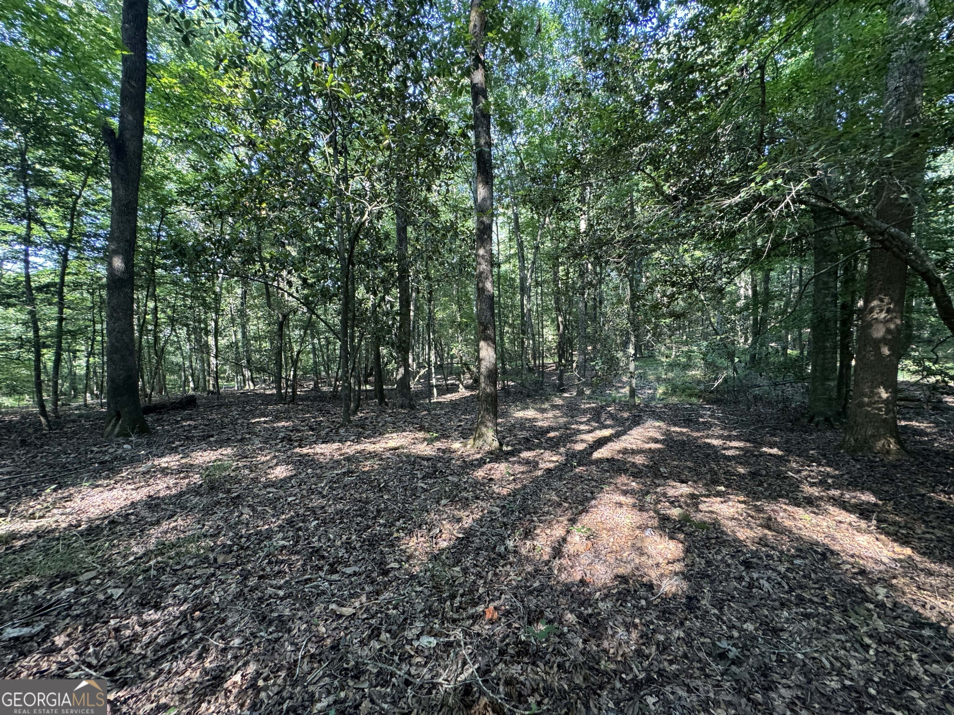 0 Wilson Street Cuthbert, GA 39840 - Photo 11 of 42 Gallery Image 11