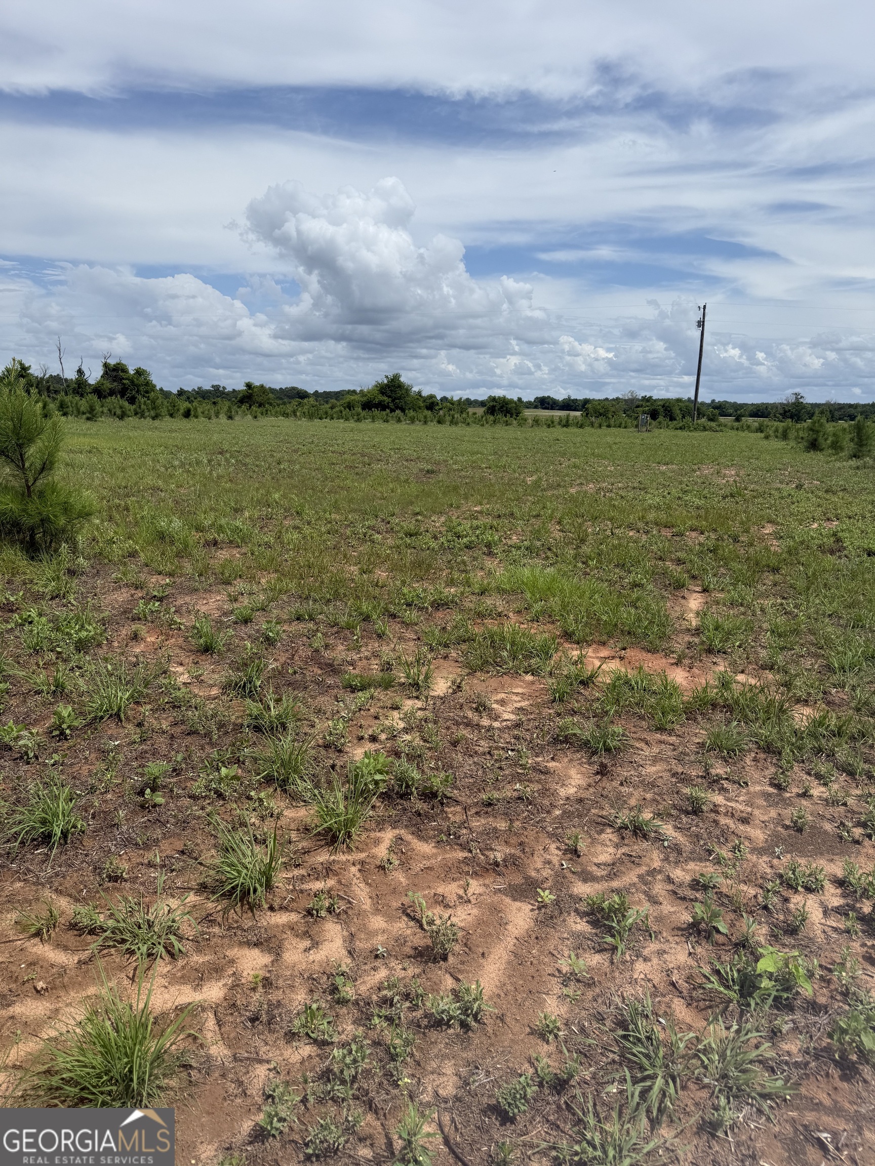4276 County Line Road Lumpkin, GA 31815 - Photo 4 of 8