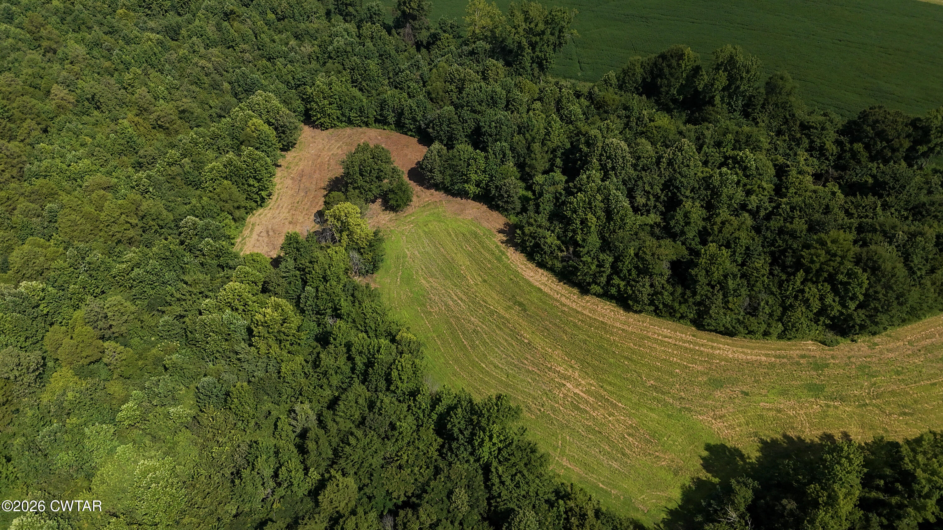 0 Poplar Springs Road Atwood, TN 38220 - Photo 19 of 30 19-DJI_20260721102727_0351_D