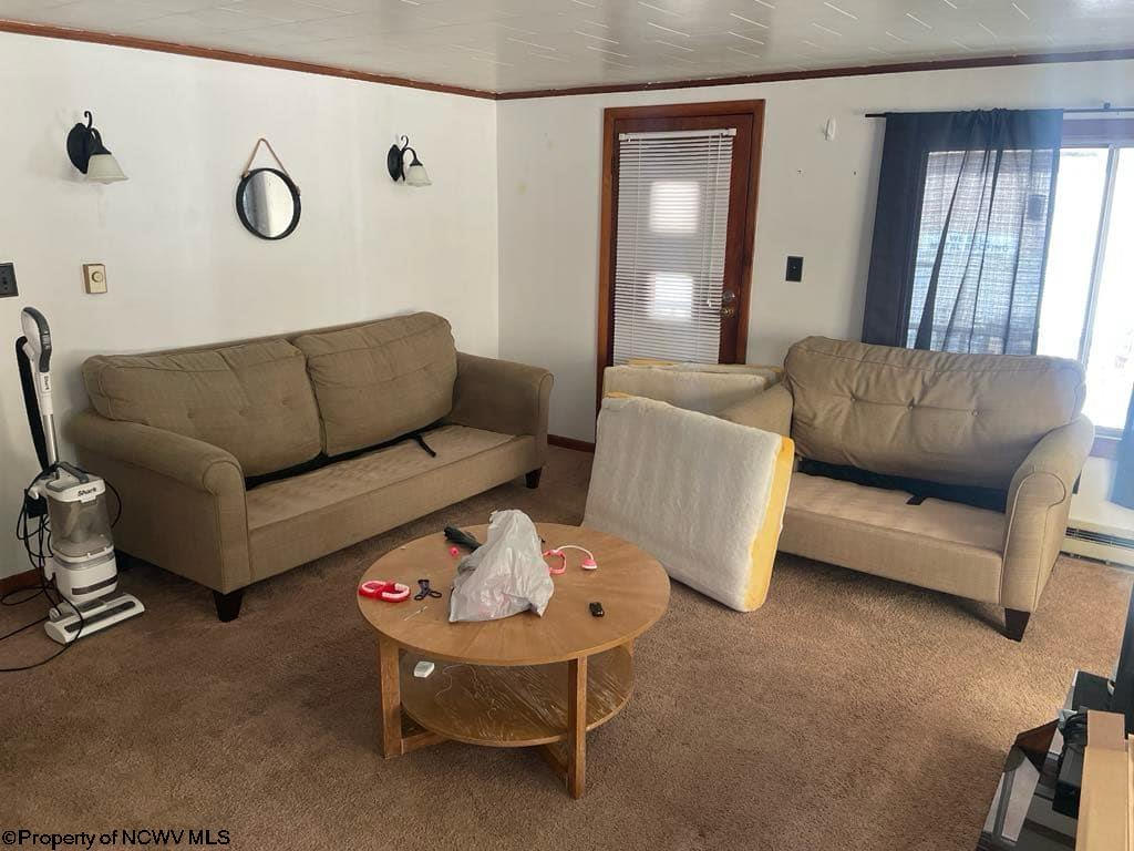 740 Point Mountain Road Webster Springs, WV 26288 - Photo 4 of 21 Gallery Image 4