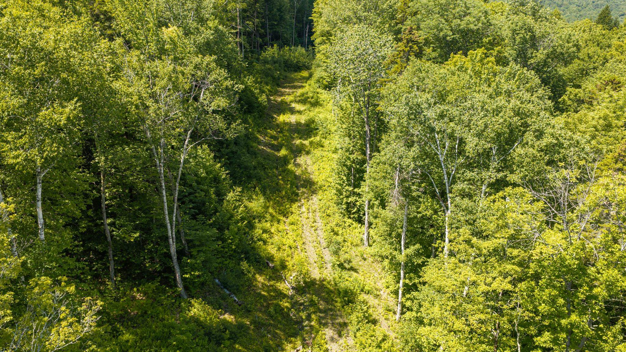 56 Lower Taylor Hill Road Winhall, VT 05340 - Photo 14 of 14 Gallery Image 14