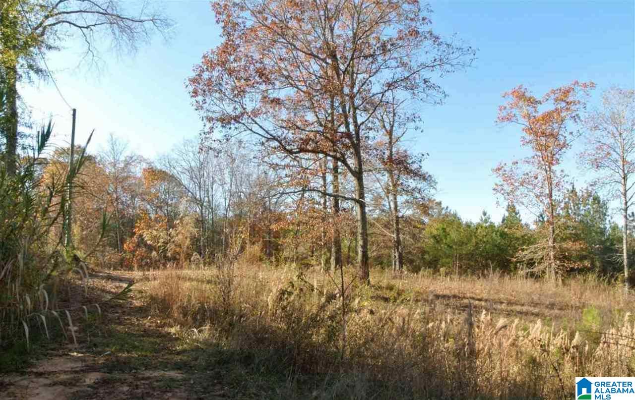 301 Wanda Way, Unit 1 Brierfield, AL 35035 - Photo 9 of 9