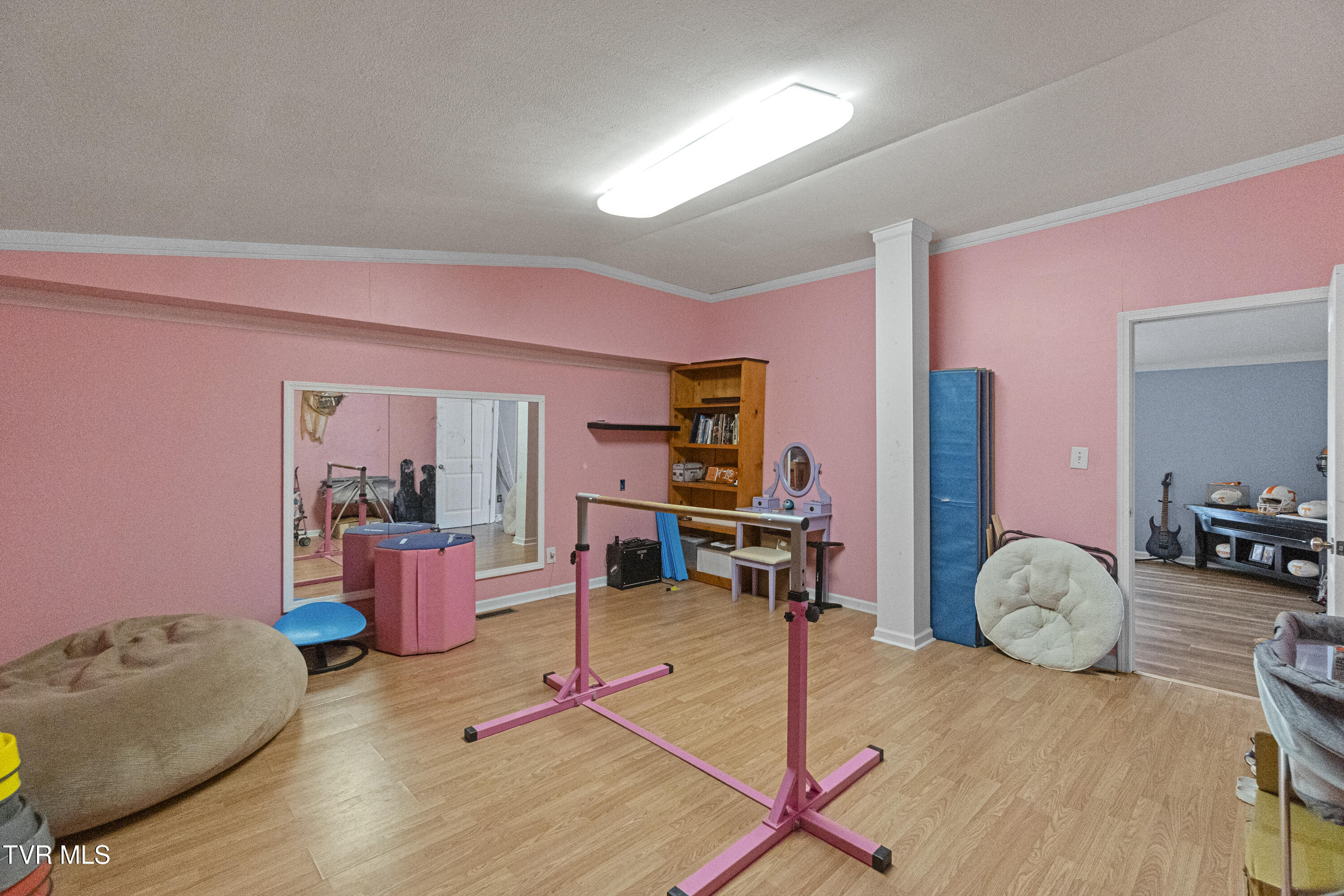 425 Lick Hollow Road Greeneville, TN 37743 - Photo 28 of 45 Two Flex Spaces