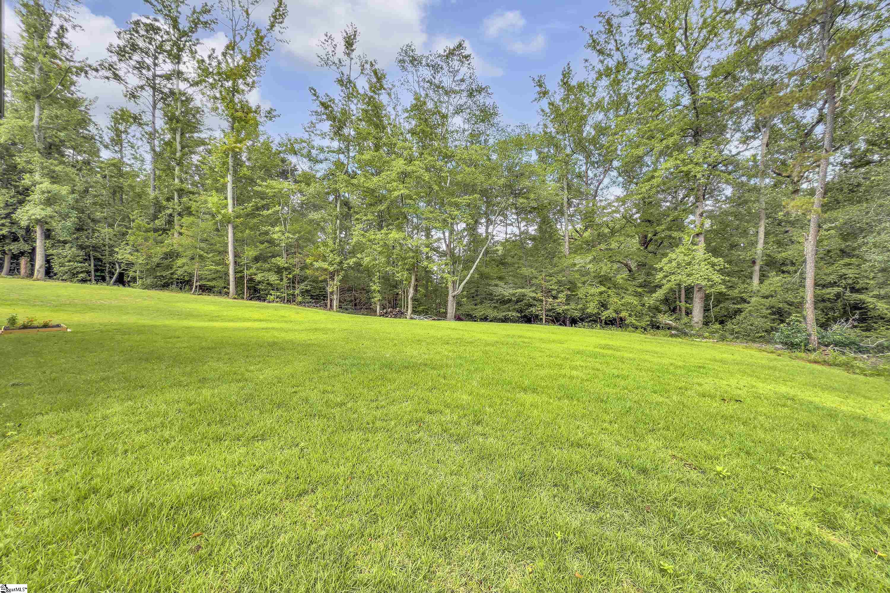 315 Braxton Meadow Drive Simpsonville, SC 29681 - Photo 12 of 44