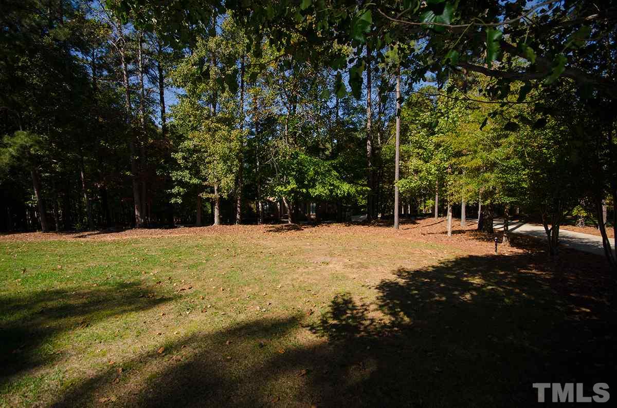 1106 Stanridge Drive Raleigh, NC 27613 - Photo 21 of 24 a view of outdoor space with trees