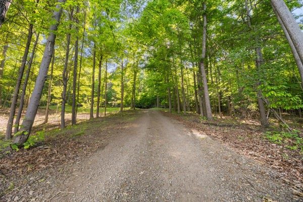 4300 Kent Klub Road Reading, NY 14878 - Photo 43 of 49