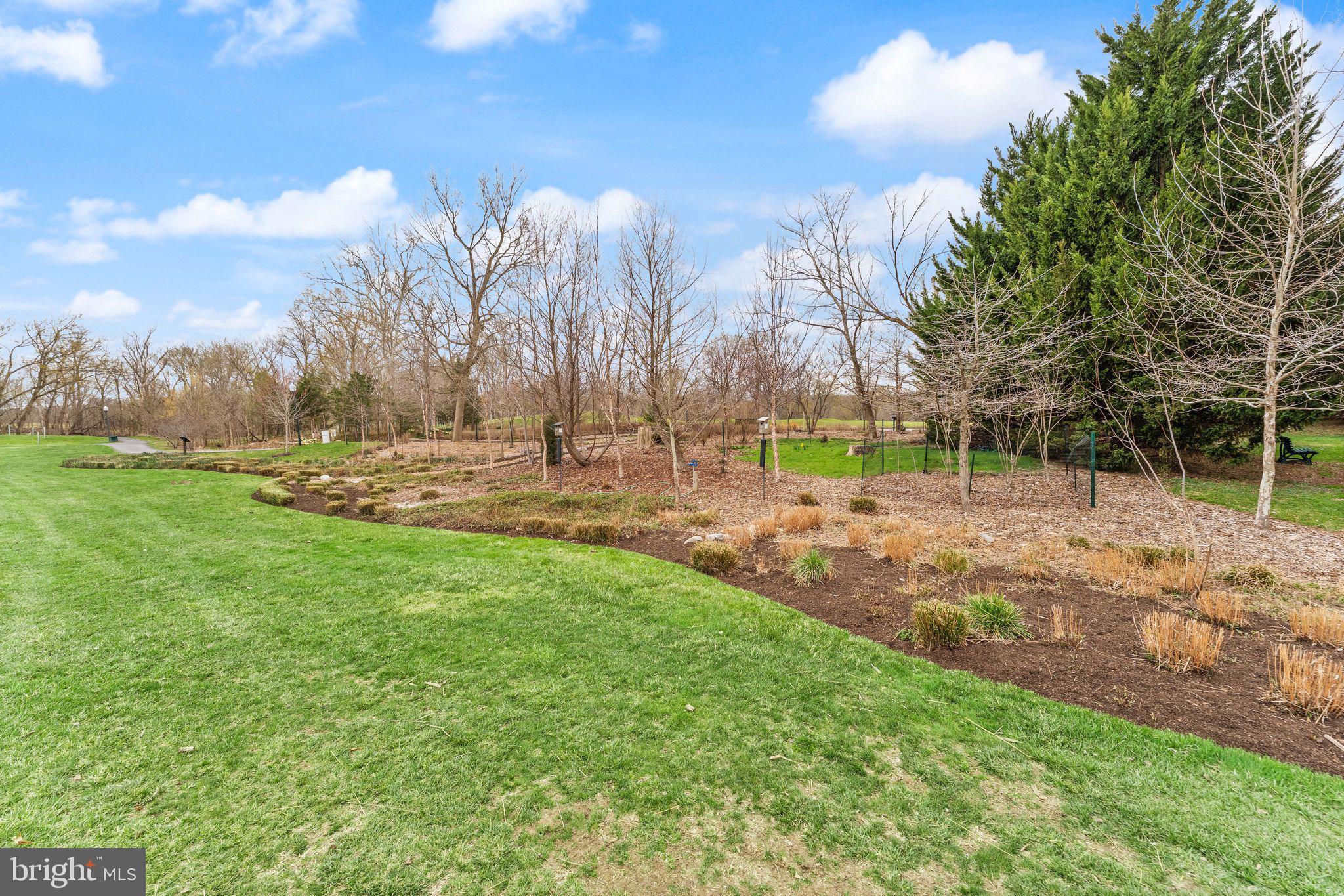 43524 Jackson Hole Circle Leesburg, VA 20176 - Photo 118 of 149 a backyard of a house with lots of green space