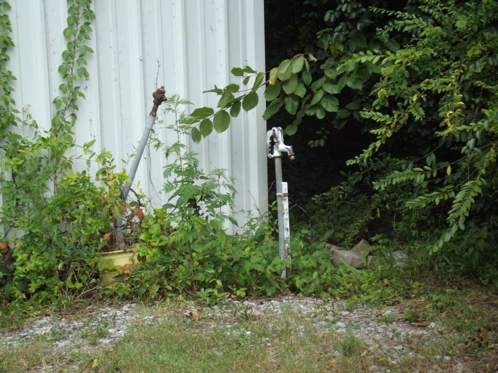 324 Creek Road Spring City, TN 37381 - Photo 62 of 70 Gallery Image 62