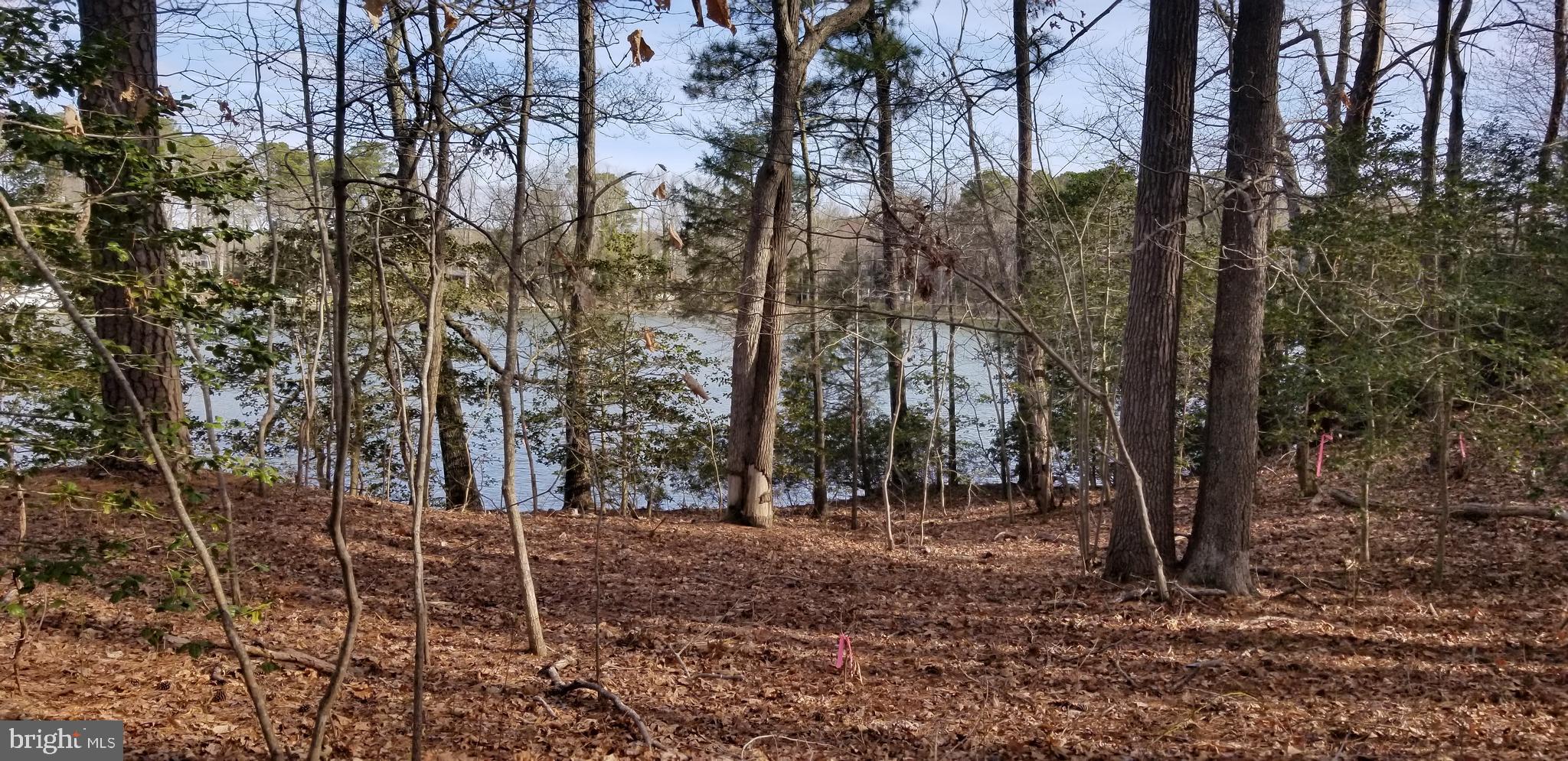 Sea Side View Road Ridge, MD 20680 - Photo 1 of 4 Water View
