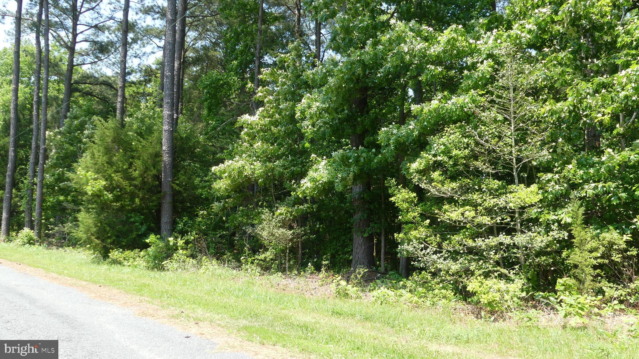 Sea Side View Road Ridge, MD 20680 - Photo 3 of 4 Street View