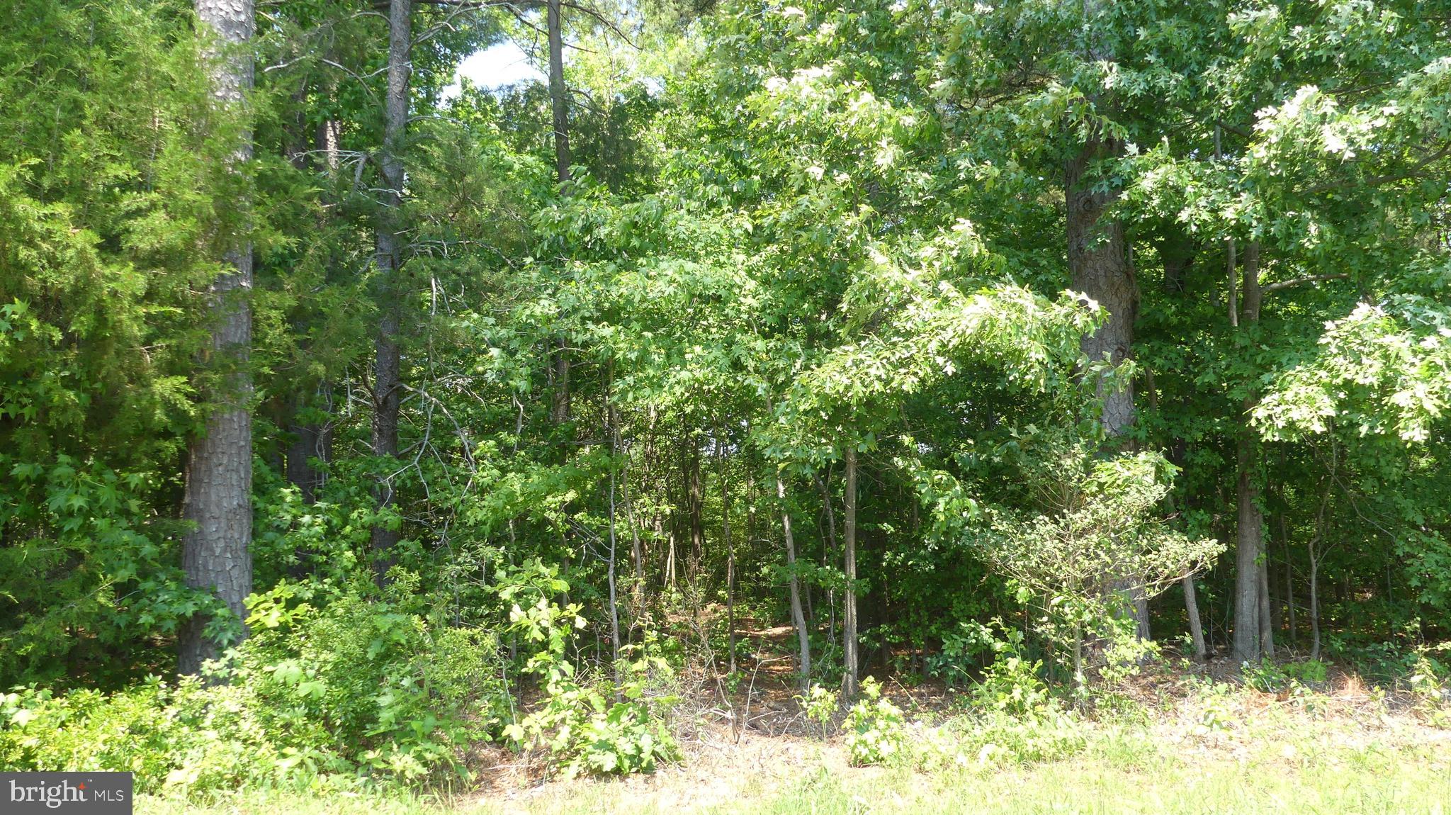 Sea Side View Road Ridge, MD 20680 - Photo 4 of 4 Street View 2