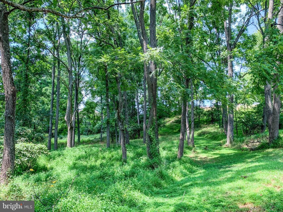 9688 Fulton School Road Felton, PA 17322 - Photo 44 of 63