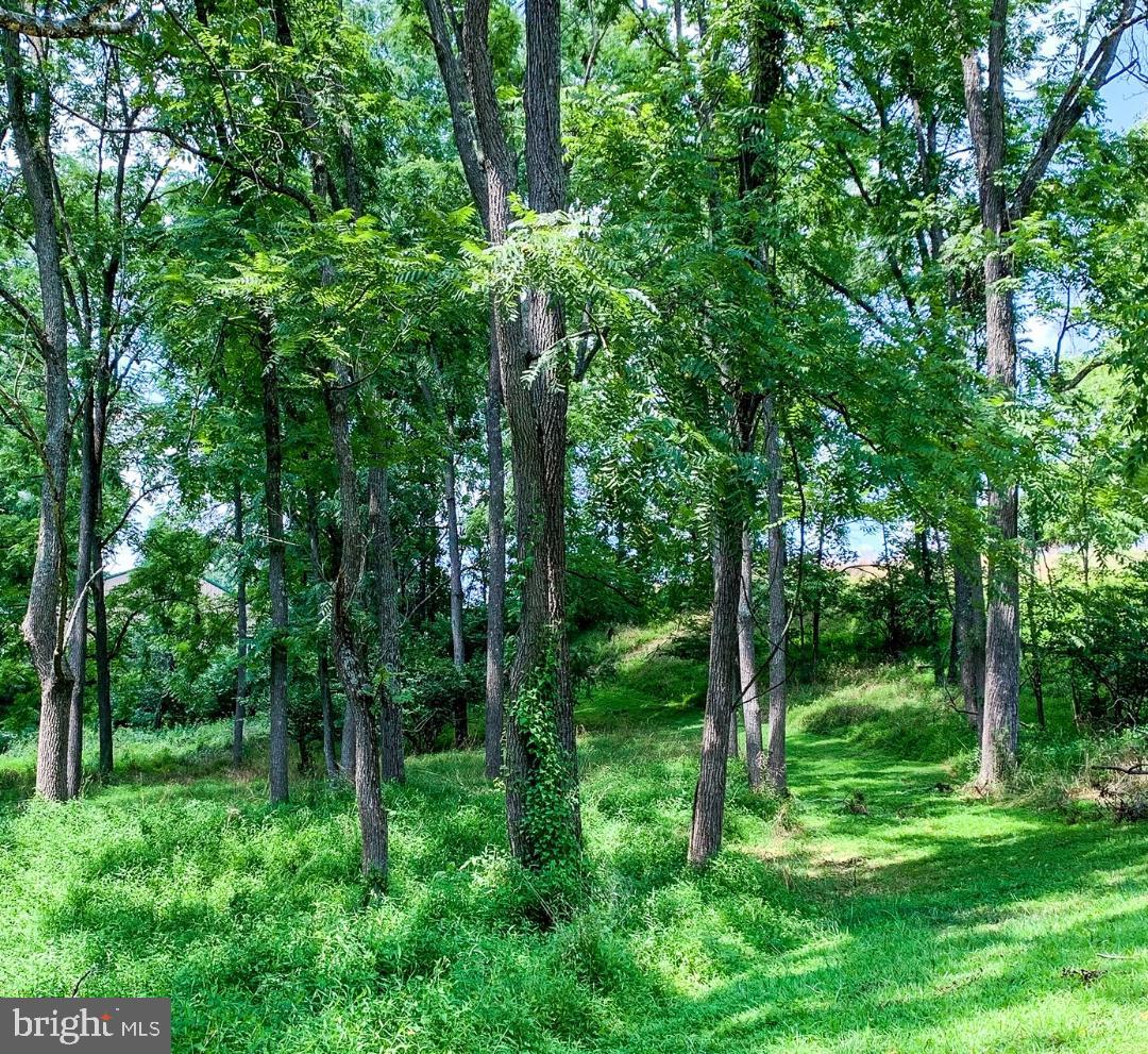 9688 Fulton School Road Felton, PA 17322 - Photo 58 of 63