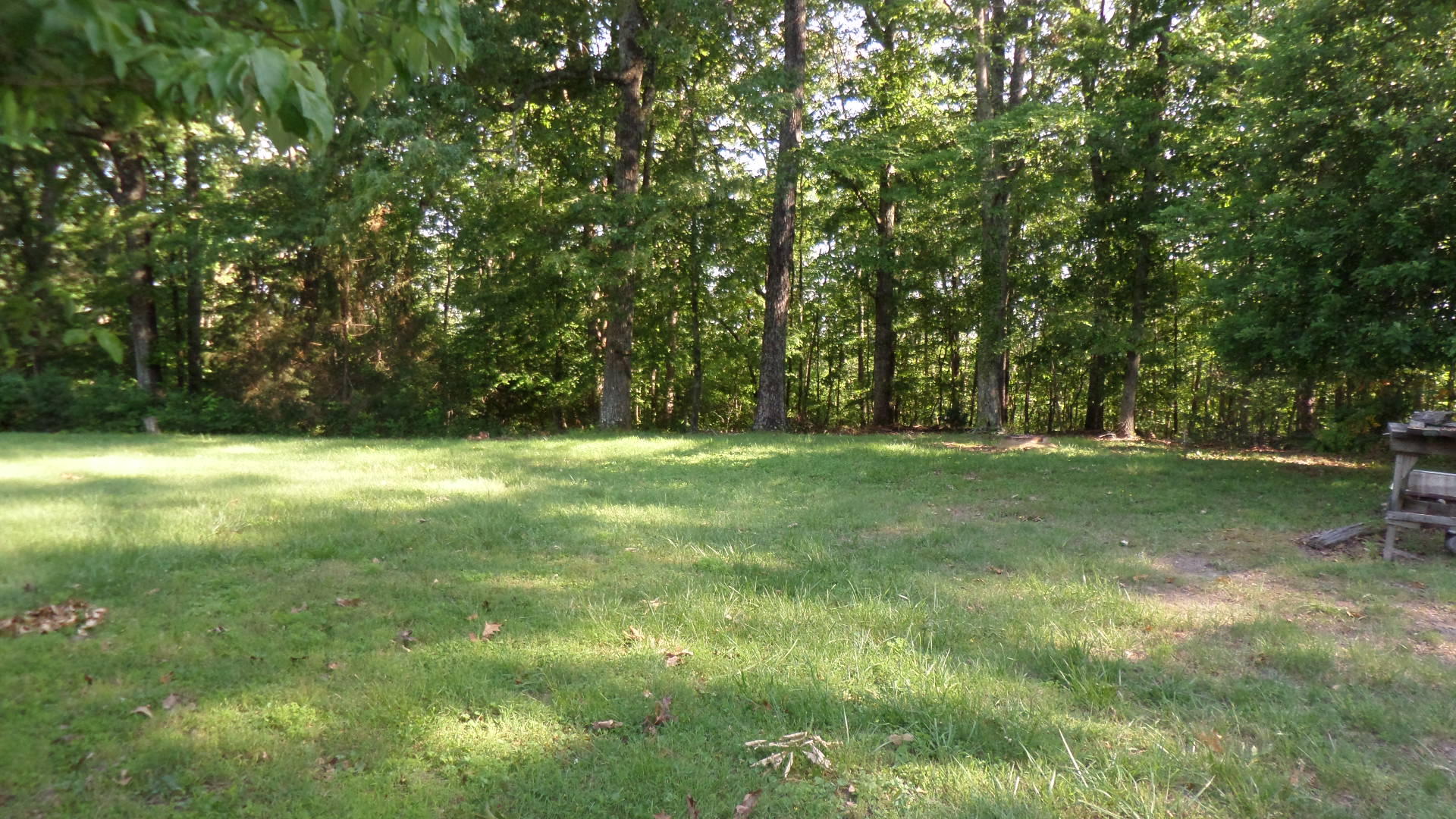 110 Euclid Circle Oak Ridge, TN 37830 - Photo 24 of 29 Backyard