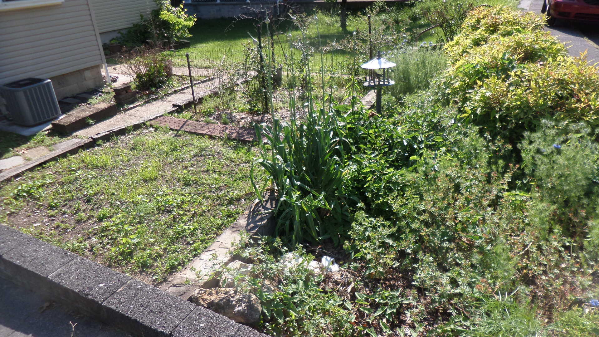 110 Euclid Circle Oak Ridge, TN 37830 - Photo 8 of 29 Garden Spot