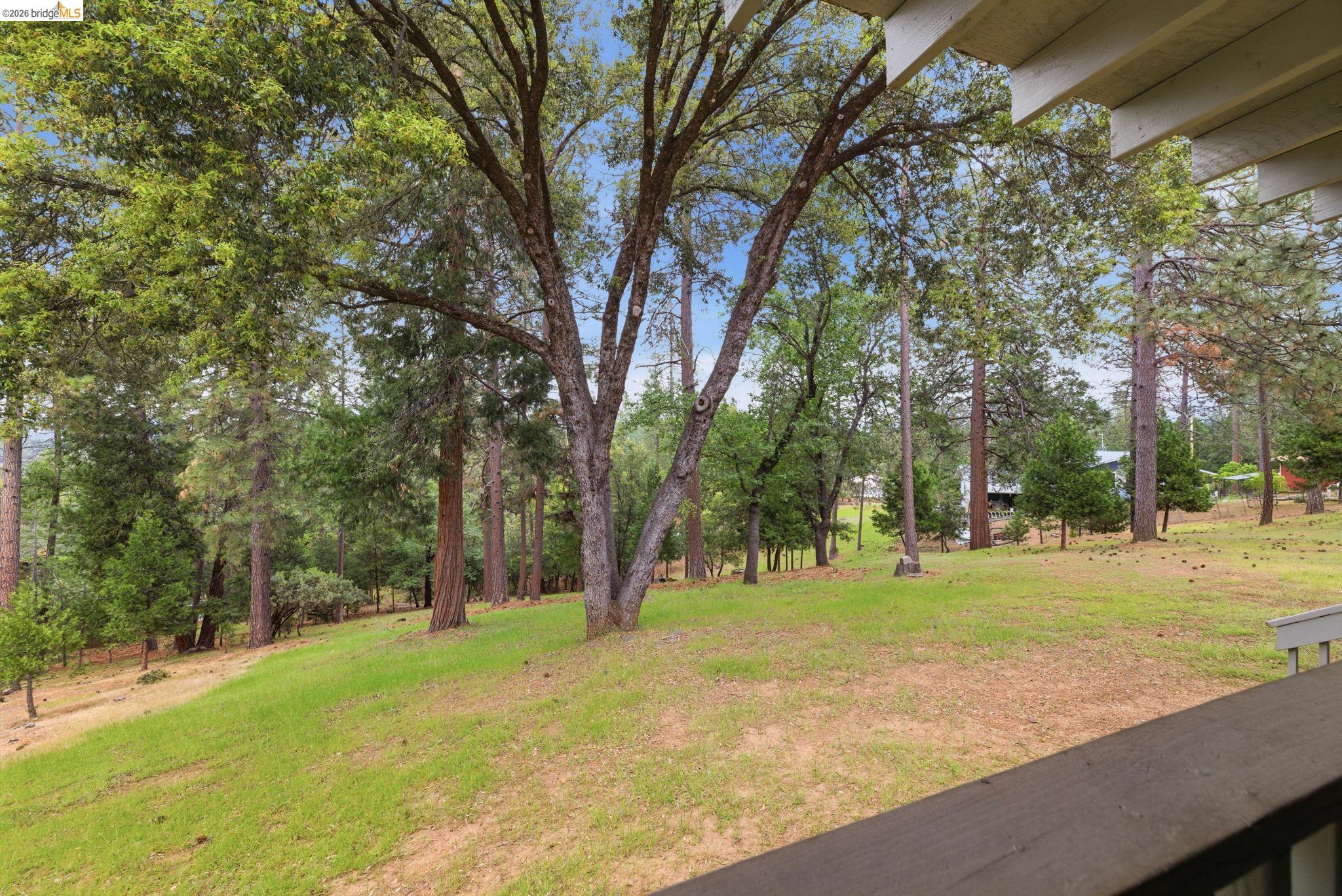 12068 Breckenridge Road Groveland, CA 95321 - Photo 35 of 55 View of green lawn