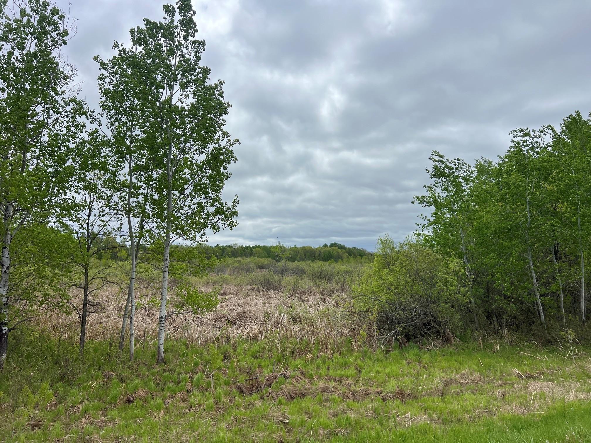 0 Xenon Road Northwest Dalbo, MN 55017 - Photo 8 of 29